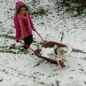 Meet your Posher, Misty